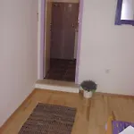 Adria * 프리모스턴
